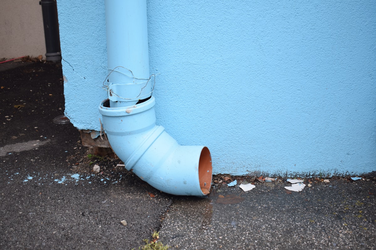 Mold Remediation service in Dublin, CA