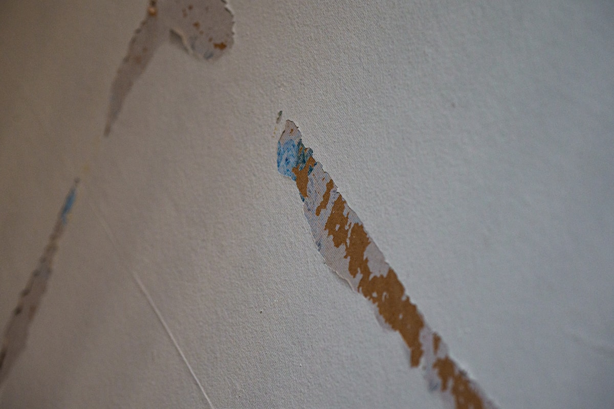 Sewage Cleanup service in Dublin, CA